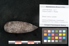 Foto (Objekt + Etikett) von Penteune clarkei F.V. Mueller (NHMW-GEO-2024-0188-10426)